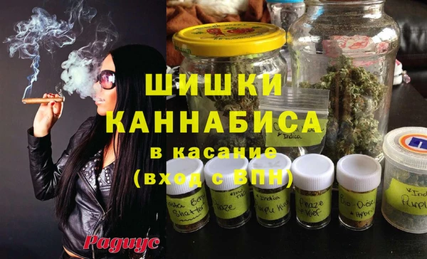 spice Богородицк