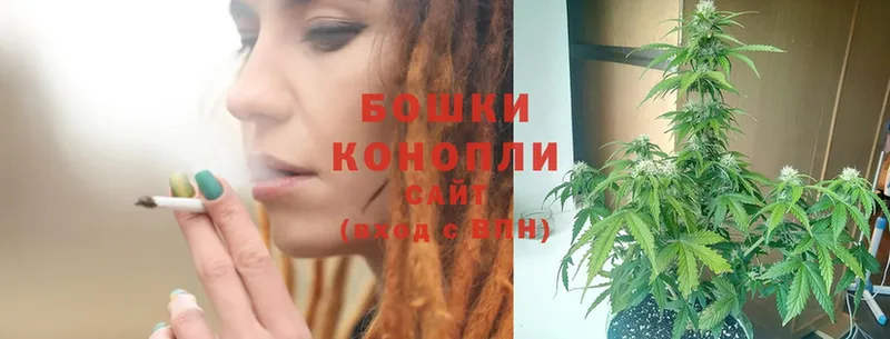 купить наркотик  Гусь-Хрустальный  Бошки Шишки White Widow 